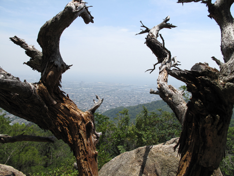 20140602hike (179)